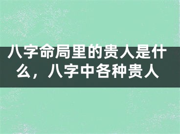 八字命局里的贵人是什么，八字中各种贵人