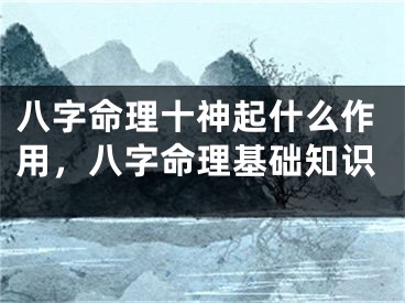 八字命理十神起什么作用，八字命理基础知识
