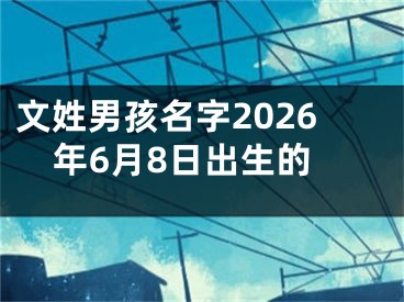 文姓男孩名字2026年6月8日出生的