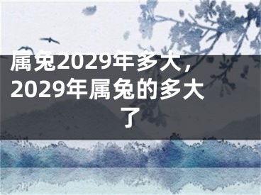 属兔2029年多大，2029年属兔的多大了