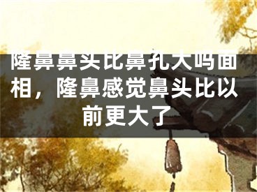 隆鼻鼻头比鼻孔大吗面相，隆鼻感觉鼻头比以前更大了