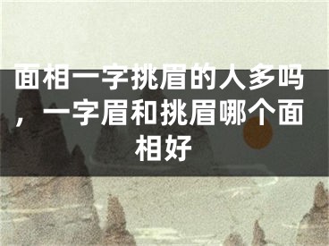 面相一字挑眉的人多吗，一字眉和挑眉哪个面相好
