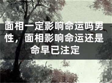 面相一定影响命运吗男性，面相影响命运还是命早已注定