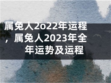 属兔人2o22年运程，属兔人2023年全年运势及运程