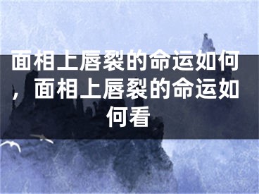 面相上唇裂的命运如何，面相上唇裂的命运如何看