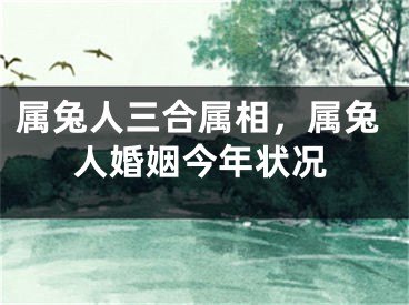 属兔人三合属相，属兔人婚姻今年状况