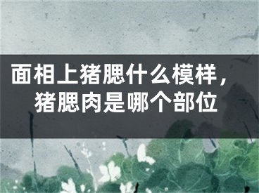 面相上猪腮什么模样，猪腮肉是哪个部位