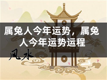 属兔人今年运势，属兔人今年运势运程