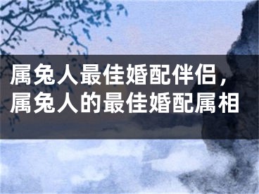 属兔人最佳婚配伴侣，属兔人的最佳婚配属相