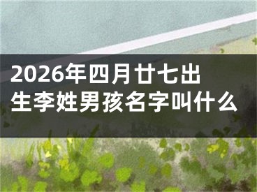 2026年四月廿七出生李姓男孩名字叫什么