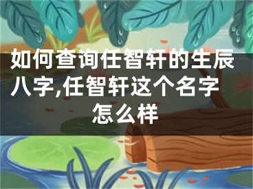 如何查询任智轩的生辰八字,任智轩这个名字怎么样