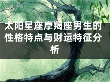 太阳星座摩羯座男生的性格特点与财运特征分析
