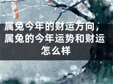 属兔今年的财运方向，属兔的今年运势和财运怎么样