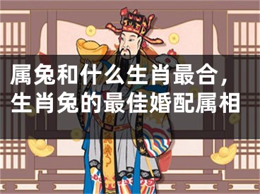 属兔和什么生肖最合，生肖兔的最佳婚配属相