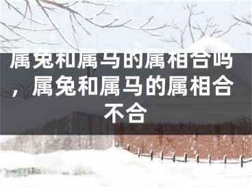 属兔和属马的属相合吗，属兔和属马的属相合不合