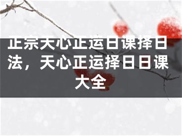 正宗天心正运日课择日法，天心正运择日日课大全