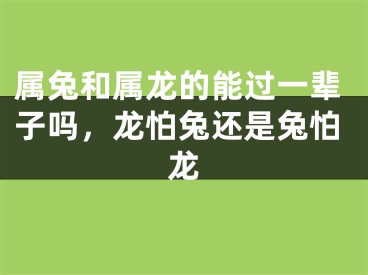 属兔和属龙的能过一辈子吗，龙怕兔还是兔怕龙