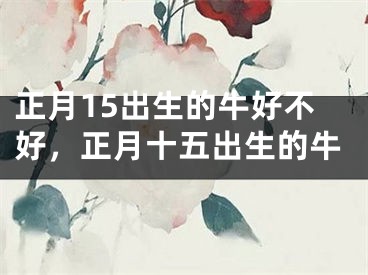 正月15出生的牛好不好，正月十五出生的牛