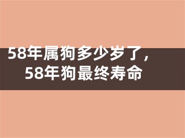 58年属狗多少岁了，58年狗最终寿命