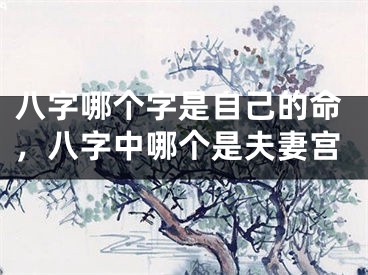 八字哪个字是自己的命，八字中哪个是夫妻宫