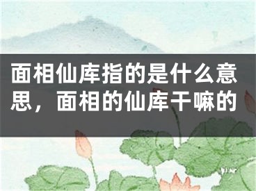 面相仙库指的是什么意思，面相的仙库干嘛的