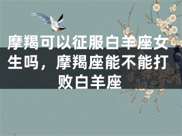 摩羯可以征服白羊座女生吗，摩羯座能不能打败白羊座
