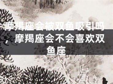 摩羯座会被双鱼吸引吗，摩羯座会不会喜欢双鱼座