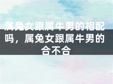 属兔女跟属牛男的相配吗，属兔女跟属牛男的合不合