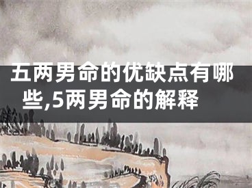 五两男命的优缺点有哪些,5两男命的解释