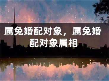 属兔婚配对象，属兔婚配对象属相