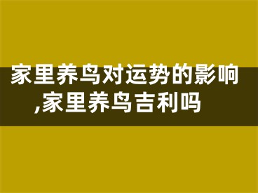 家里养鸟对运势的影响,家里养鸟吉利吗