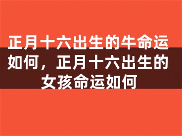正月十六出生的牛命运如何，正月十六出生的女孩命运如何