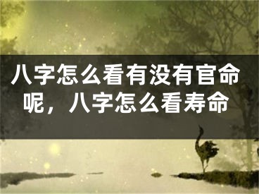 八字怎么看有没有官命呢，八字怎么看寿命