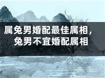 属兔男婚配最佳属相，兔男不宜婚配属相