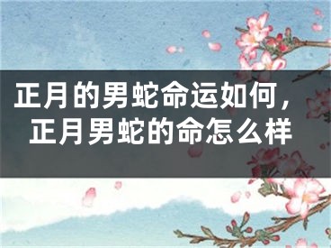 正月的男蛇命运如何，正月男蛇的命怎么样