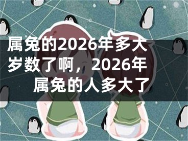 属兔的2026年多大岁数了啊，2026年属兔的人多大了