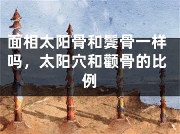 面相太阳骨和鬓骨一样吗,太阳穴和颧骨的比例
