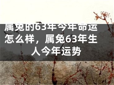 属兔的63年今年命运怎么样，属兔63年生人今年运势