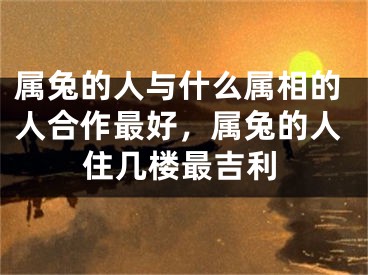 属兔的人与什么属相的人合作最好，属兔的人住几楼最吉利