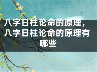 八字日柱论命的原理，八字日柱论命的原理有哪些