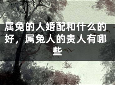 属兔的人婚配和什么的好，属兔人的贵人有哪些