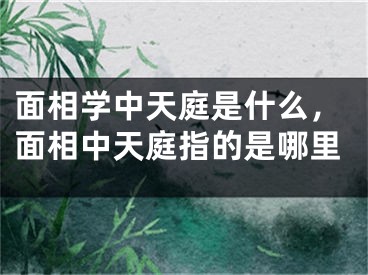 面相学中天庭是什么，面相中天庭指的是哪里