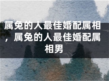 属兔的人最佳婚配属相，属兔的人最佳婚配属相男