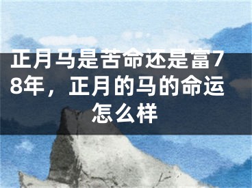 正月马是苦命还是富78年，正月的马的命运怎么样