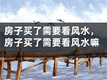 房子买了需要看风水，房子买了需要看风水嘛