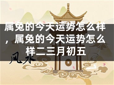 属兔的今天运势怎么样,属兔的今天运势怎么样二三月初五