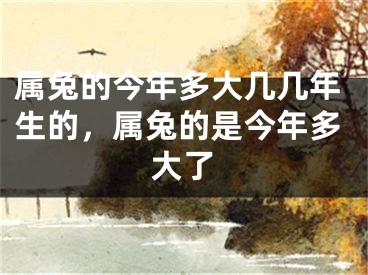 属兔的今年多大几几年生的，属兔的是今年多大了