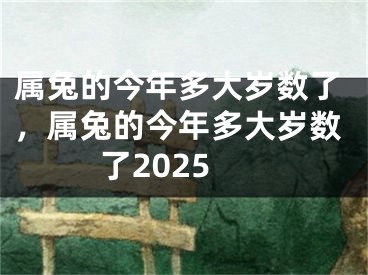 属兔的今年多大岁数了，属兔的今年多大岁数了2025