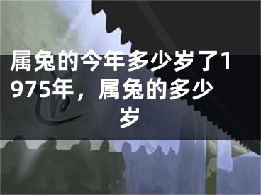 属兔的今年多少岁了1975年，属兔的多少岁