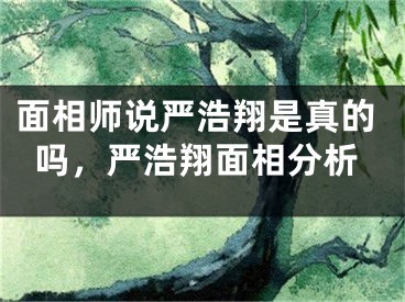面相师说严浩翔是真的吗，严浩翔面相分析